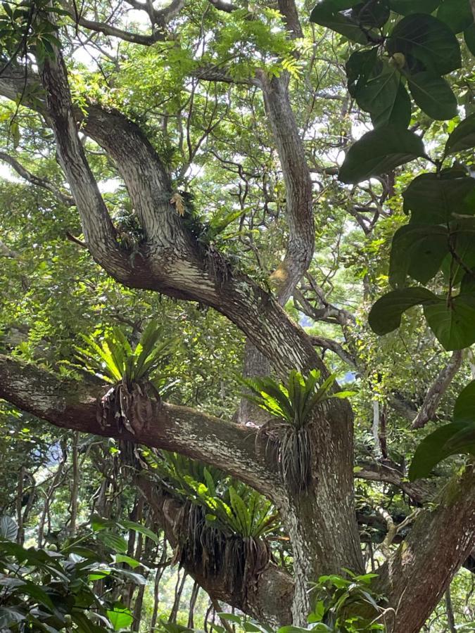 Апартаменти Ka Hale Kealoha Каунакакаї Екстер'єр фото
